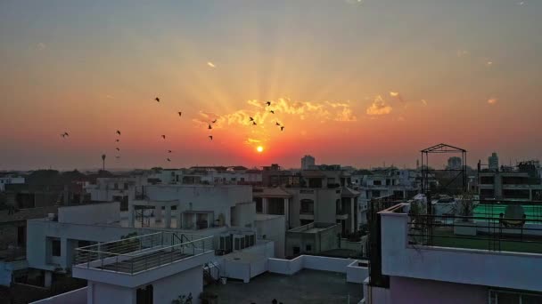 在印度斋浦尔古城上空 鸟儿的轮廓在日落的天空中飘扬 空降飞行员中枪 优质Fullhd影片 — 图库视频影像