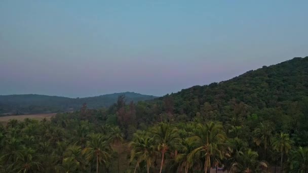 Dense Tropical Forest Mountains Polem Beach South Goa India Aerial — Stock Video
