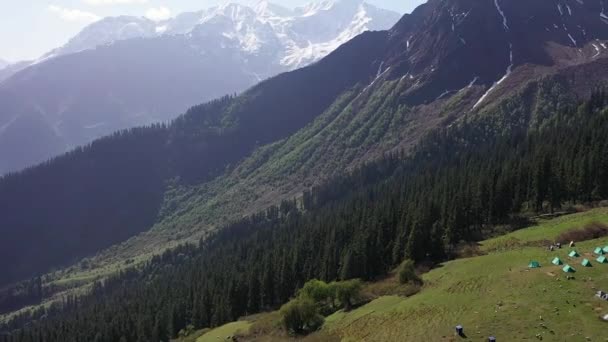 Beautiful Lush Forest Snow Capped Mountains Views Sar Pass Trek — Video Stock