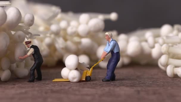 Enoki Mantarları Minyatür Insanlar Tarımsal Ürünlerin Hasat Ticareti Kavramı — Stok video