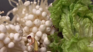 Enoki mantarı ve minyatür bir kadınla marul. Vejetaryen yemekleri ve yemek pişirme konsepti.