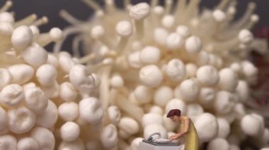 Enoki mantarı ve minyatür bir kadınla marul. Taze malzemeler ve ev yemeği sipariş etme kavramı..