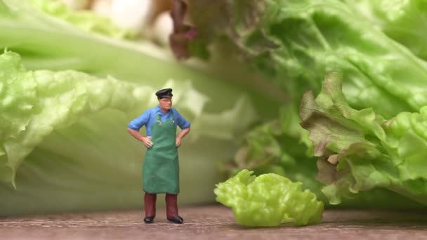 Ένας Μικροσκοπικός Άνθρωπος Στέκεται Φρέσκα Λαχανικά Έννοια Που Σχετίζεται Χορτοφαγικά — Αρχείο Βίντεο
