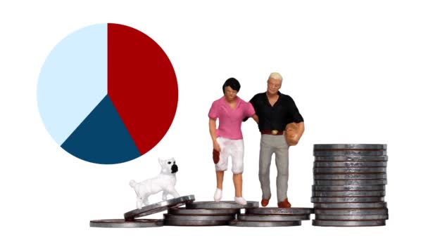 Monthly Expenses Sector Pie Graph Miniature Family Pile Coins — Stock Video