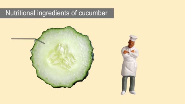 轮转黄瓜切片横断面和黄瓜营养情况 带有微型人物和饼图的商业概念 — 图库视频影像