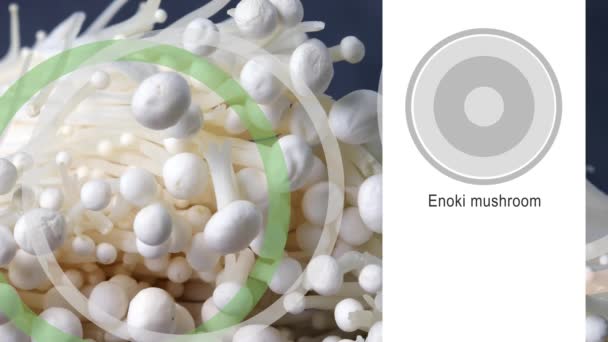 江野蘑菇和一个圆形的图表 木耳蘑菇营养成分综述 — 图库视频影像