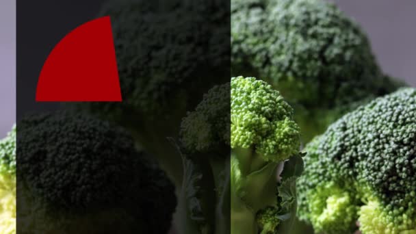 Broccoli Circle Graph Summary Nutritional Ingredients Broccoli — Stock Video