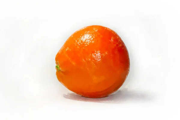 Grapefruit malovaný akvarely na bílém pozadí. Akvarelové jídlo — Stock fotografie
