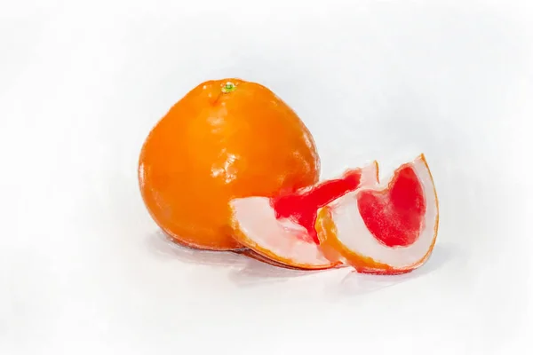 Akvarell kézzel rajzolt ábrán grapefruit. — Stock Fotó