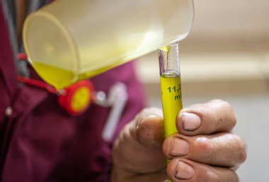 Ekolojik ekstra bakire zeytinyağı üretimi, modern teknoloji, çıkarma ve filtreleme, cam bir şişede saf zeytin yağı