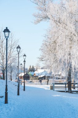 Beyaz kış manzarası. Ağaç dalları don ve karla kaplı. Eski sokak lambaları ve ahşap evler.