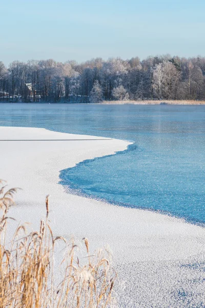 凍った湖 葦や霜や雪に覆われた白い木と森 垂直と素晴らしい白い冬の風景 — ストック写真