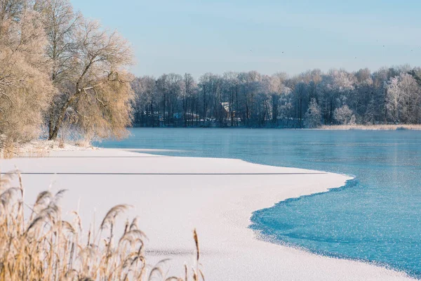 凍った湖 葦や霜や雪に覆われた白い木と森と素晴らしい白い冬の風景 — ストック写真