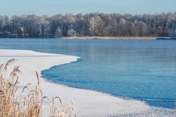 Υπέροχο Λευκό Χειμερινό Τοπίο Παγωμένη Λίμνη Καλάμια Και Δάση Λευκά — Φωτογραφία Αρχείου