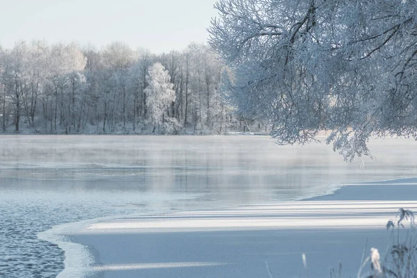 Nádherná Bílá Zimní Krajina Zamrzlým Jezerem Rákosím Lesem Bílými Stromy — Stock fotografie