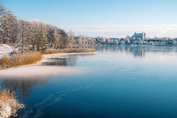 Prachtig Wit Winterlandschap Met Bevroren Meer Riet Bos Met Witte — Stockfoto