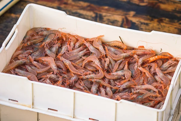 Freshly Just Caught Shrimps Other Fish Plastic Crates Fishing Wooden — Stock Photo, Image