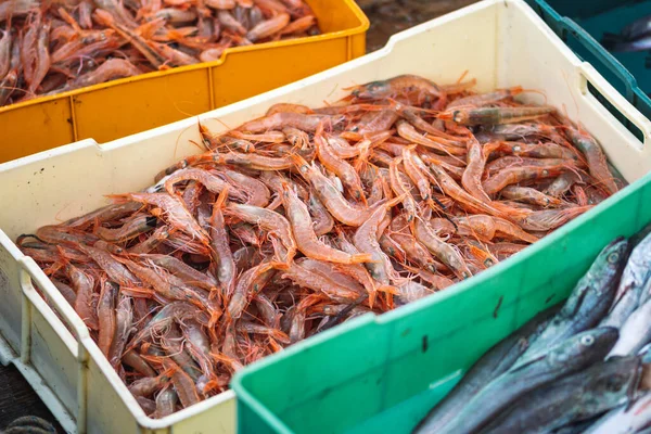 Zojuist Gevangen Garnalen Andere Vis Plastic Kratten Een Houten Vissersboot — Stockfoto