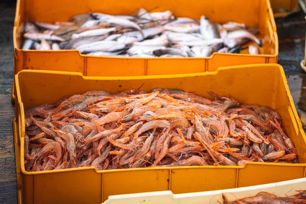 Camarões Recém Capturados Outros Peixes Caixas Plástico Barco Pesca Madeira — Fotografia de Stock