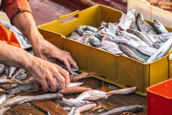 Διάφορα Πρόσφατα Αλιεύονται Ψάρια Πλαστικά Κιβώτια Ένα Αλιευτικό Ξύλινο Σκάφος — Φωτογραφία Αρχείου