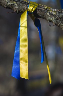 Savaşa, Putin 'e ve Rusya' ya ve Ukrayna 'ya karşı barışçıl bir gösteri sırasında Ukrayna renklerine sahip kurdeleler