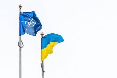 Kiev, Ukrayna - 3 Mart 2022: NATO, Kuzey Atlantik Antlaşması Örgütü ve Ukrayna bayrakları beyaz gökyüzünde el sallıyor, uzayı kopyalıyorlar
