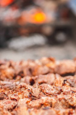 Domuz eti şişi, mangalda kızartılmış ya da kızartılmış, açık ateşte ve ateşte, şiş ya da şiş tırmıklı piknik için, yakın çekim, dikey