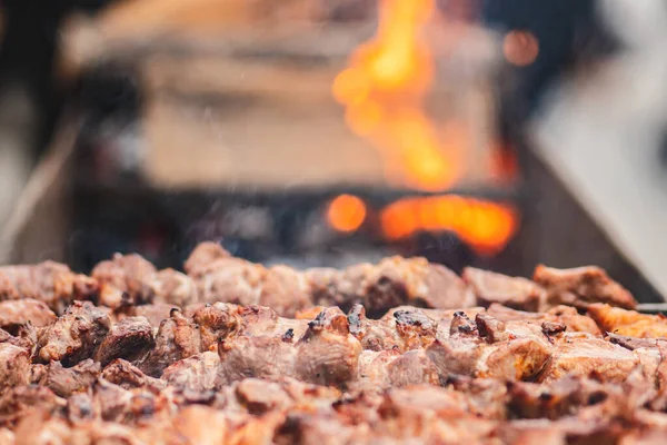 Espetos Carne Porco Grelhados Assados Churrasco Uma Fogueira Chamas Shashlik — Fotografia de Stock