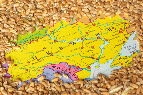 Kyiv, Ukraine - May 16 2022: Wheat grains on the map of Ukraine, Ukrainian grain crisis, global hunger crisis concept due to war