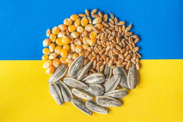 小麦の穀物 ウクライナの黄色と青の旗の円内のトウモロコシとヒマワリの種 ウクライナの穀物危機 戦争のための世界的な飢餓危機の概念 — ストック写真