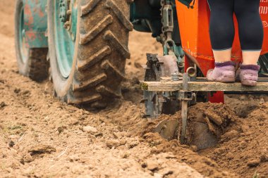 İlkbaharda tarım alanında toprağı tarlaya sürüp ekiyorlar.
