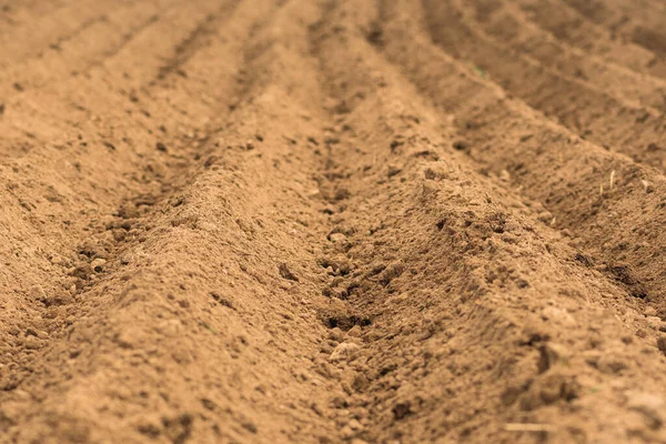 Lines Plowed Land Agricultural Field Ready Planting Sowing Spring — Stock Photo, Image