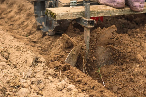 Plowing and sowing the soil with a farm tractor in an agricultural field in spring