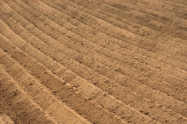 Linee Nella Terra Arata Campo Agricolo Pronto Essere Piantato Seminato — Foto Stock