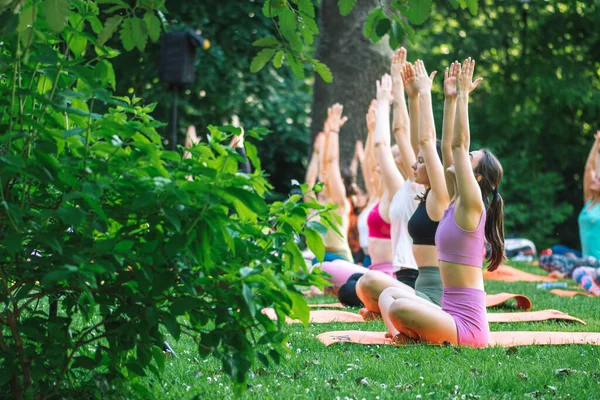 Vilnius Lithuania June 2022 Beautiful Girls Making Outdoor Activity Yoga — Stock Photo, Image