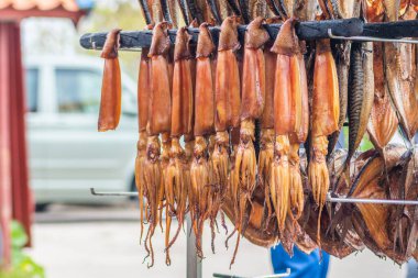 Hanging smoke-dried calamari or cuttlefish in a fish market just smoked with hardwood wood chips in a smoker and ready to eat