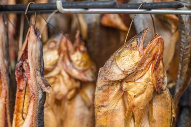 Hanging smoke-dried fish in a fish market just smoked with hardwood wood chips in a smoker and ready to eat