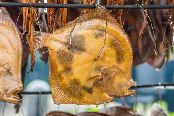 Hanging Smoke Dried Turbot Flatfish Fish Market Just Smoked Hardwood — Stock Fotó