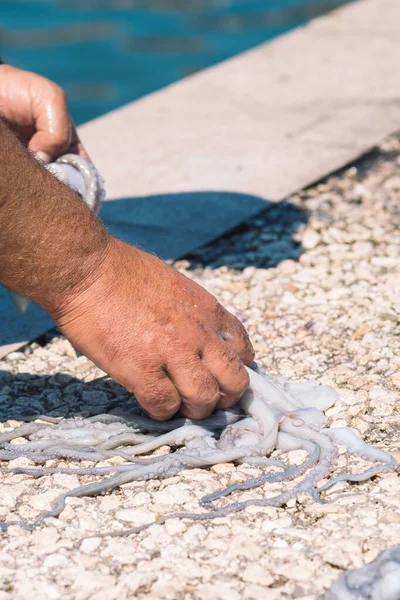 Fisherman slamming and softening with hand a big raw fresh octopus on the pier of the port of Bari, Puglia, Italy, vertical