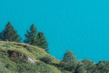 Arka planda köknar ağaçları ve mavi göl olan Alp manzarası