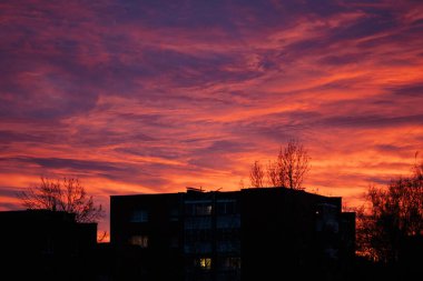 Şehirdeki binaların üzerinde güzel kırmızı ve mor günbatımı binalar ve ağaçlar silueti
