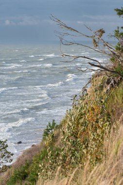 Dalgalı güzel, gri deniz, sazlıklar ve kum tepeleri arasında kuru çimenler, seyahat ve tatil konsepti, Litvanya 'daki Baltık Denizi' ndeki deniz manzarası.