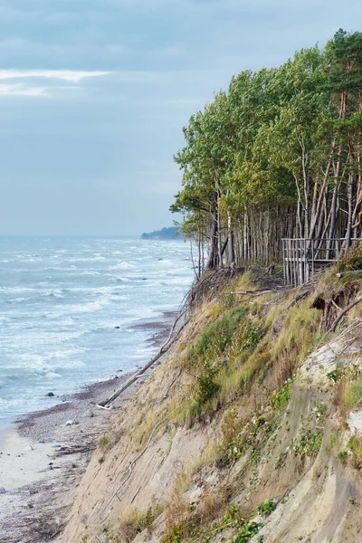 Hollandse Cap Het Litouwse Olando Kepur Heuvel Parabolische Duinen Met — Stockfoto