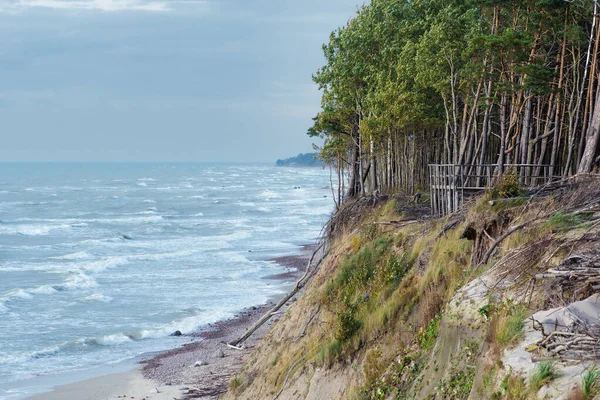 Hollandse Cap Het Litouwse Olando Kepur Heuvel Parabolische Duinen Met — Stockfoto