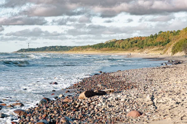 Prachtig Stenig Strand Zandduinen Met Pijnbomen Kustlijn Aan Oostzee Het — Stockfoto