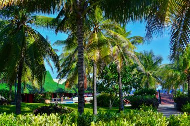 Cancun, Hotel Area, plajlar, deniz, yüzme havuzları, palmiye ağaçları, tropikal bitki örtüsü Meksika Körfezi kıyısında en az 15 ila en fazla 35 derece sıcaklıkta tropikal iklimi olan bir spa merkezidir.