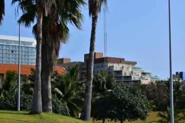 Cancun, Hotel Area, plajlar, deniz, yüzme havuzları, palmiye ağaçları, tropikal bitki örtüsü Meksika Körfezi kıyısında en az 15 ila en fazla 35 derece sıcaklıkta tropikal iklimi olan bir spa merkezidir.