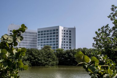 Cancun, Hotel Area, plajlar, deniz, yüzme havuzları, palmiye ağaçları, tropikal bitki örtüsü Meksika Körfezi kıyısında en az 15 ila en fazla 35 derece sıcaklıkta tropikal iklimi olan bir spa merkezidir.