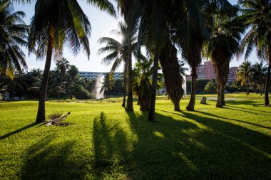 Cancun, Hotel Area, plajlar, deniz, yüzme havuzları, palmiye ağaçları, tropikal bitki örtüsü Meksika Körfezi kıyısında en az 15 ila en fazla 35 derece sıcaklıkta tropikal iklimi olan bir spa merkezidir.
