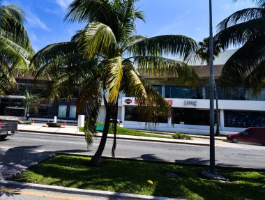 Cancun, Hotel Area, plajlar, deniz, yüzme havuzları, palmiye ağaçları, tropikal bitki örtüsü Meksika Körfezi kıyısında en az 15 ila en fazla 35 derece sıcaklıkta tropikal iklimi olan bir spa merkezidir.